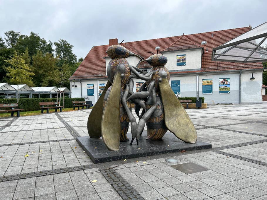 Apple iPhone 14 review: Photo gallery