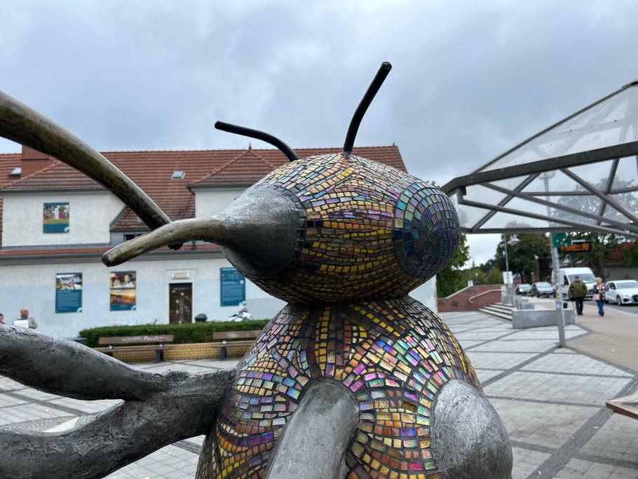 Apple iPhone 14 review: Photo gallery