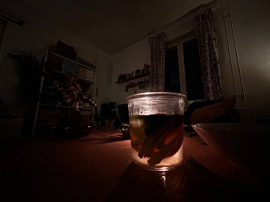 Apple iPhone 14 review: Photo gallery