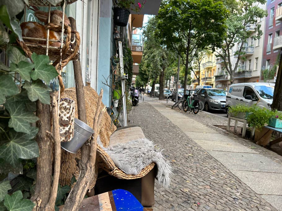 Apple iPhone 14 review: Photo gallery