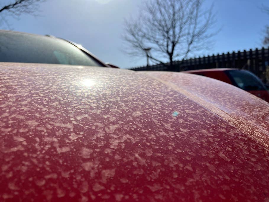 iPhone SE 2022 camera test