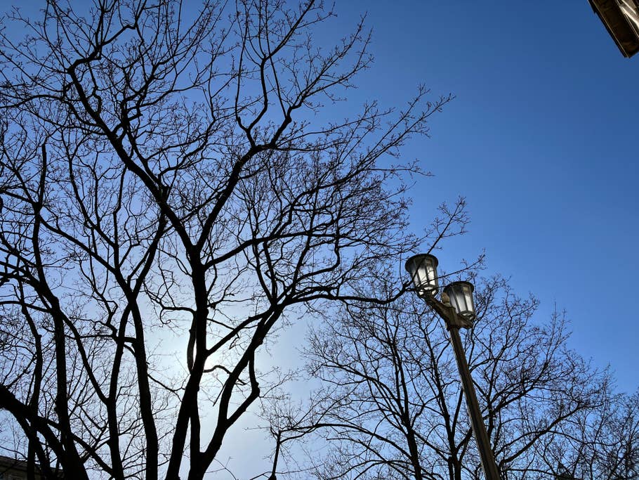 iPhone SE 2022 camera test