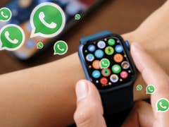 How to fix WhatsApp notification not showing on Apple Watch