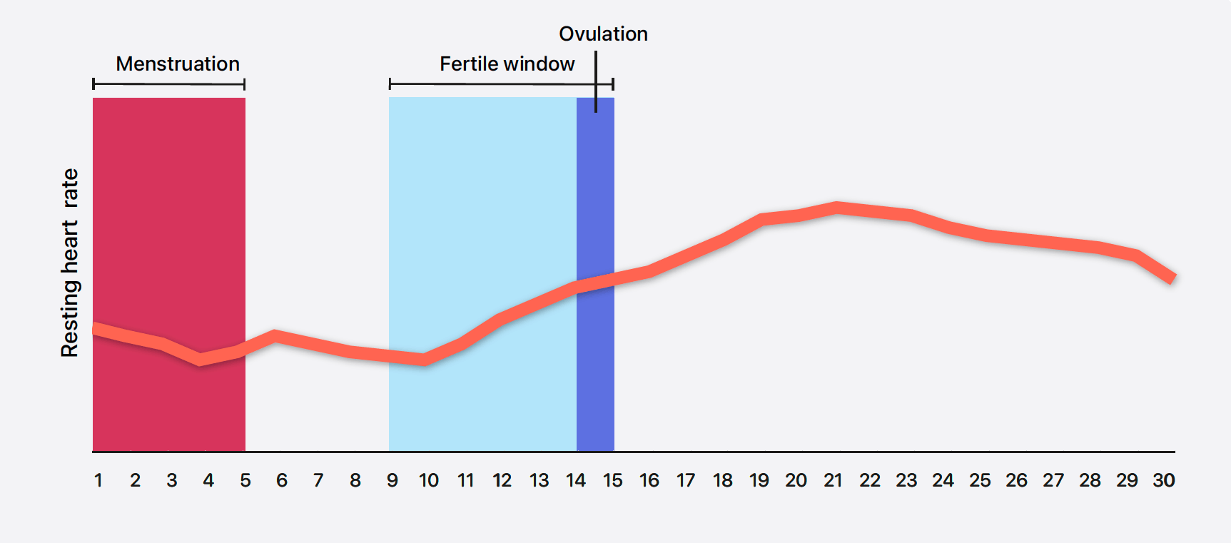 Apple menstrual cycle graphics: resting heart rate