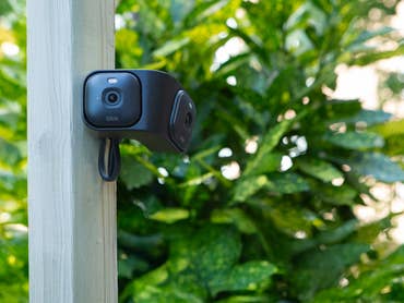 A Blink Arc security camera mounted on a wooden post, surrounded by lush green foliage.