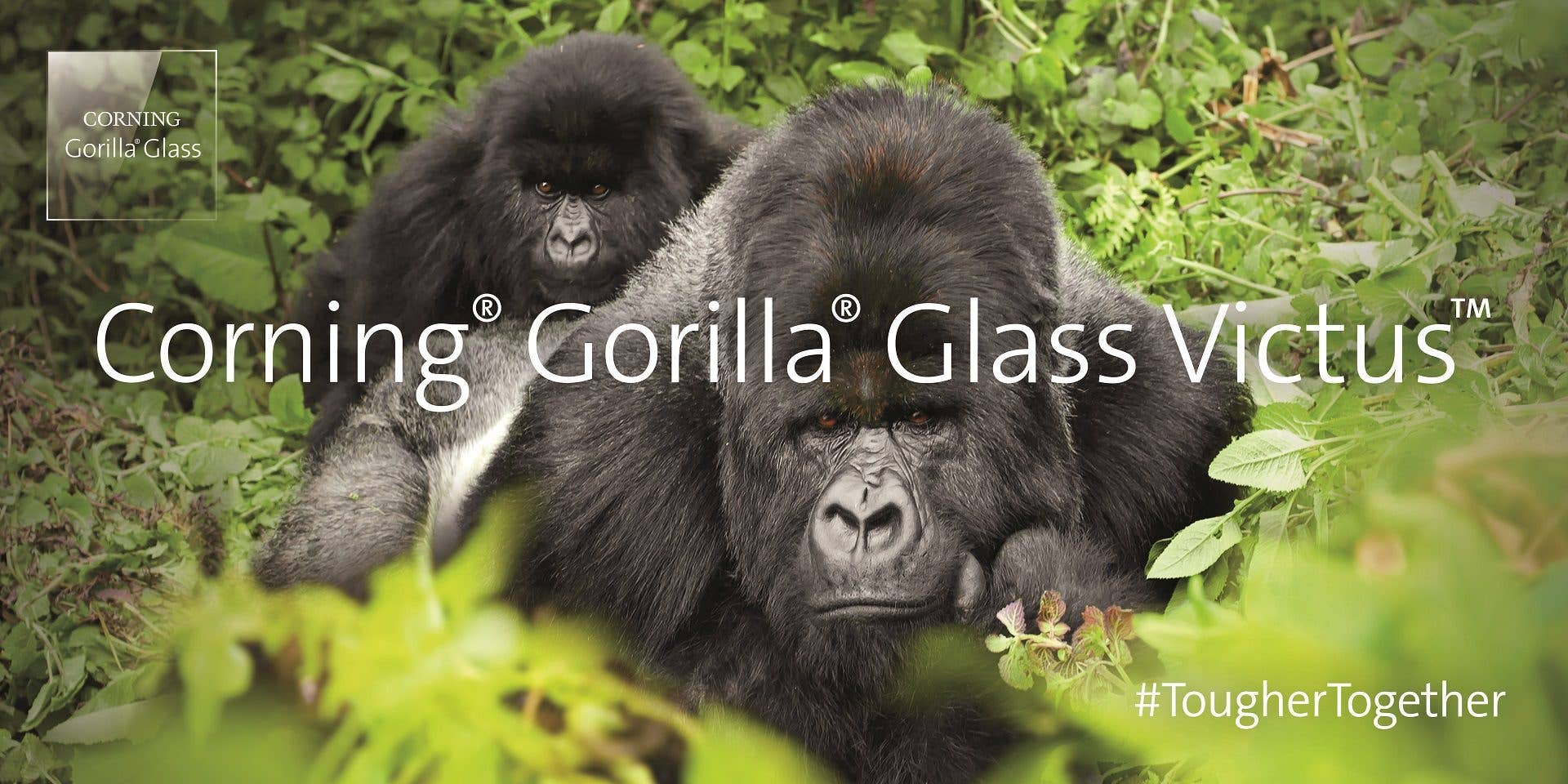 Corning Gorilla Glass Victus