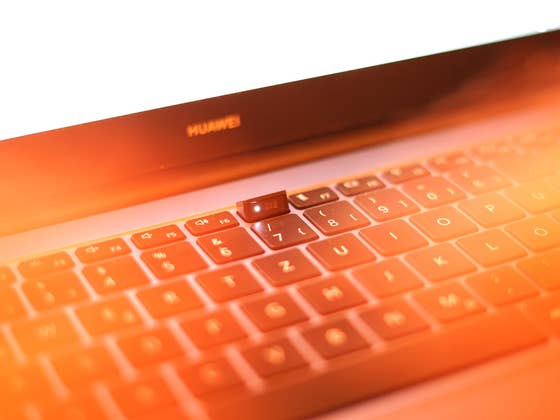 Webcams in lockdown: how 2020 made us all entertainers