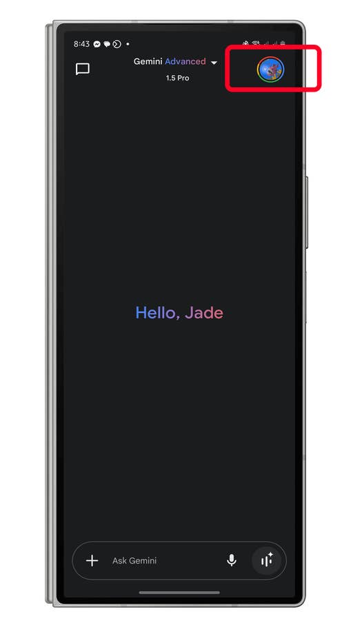 Gemini appu0027s main screen