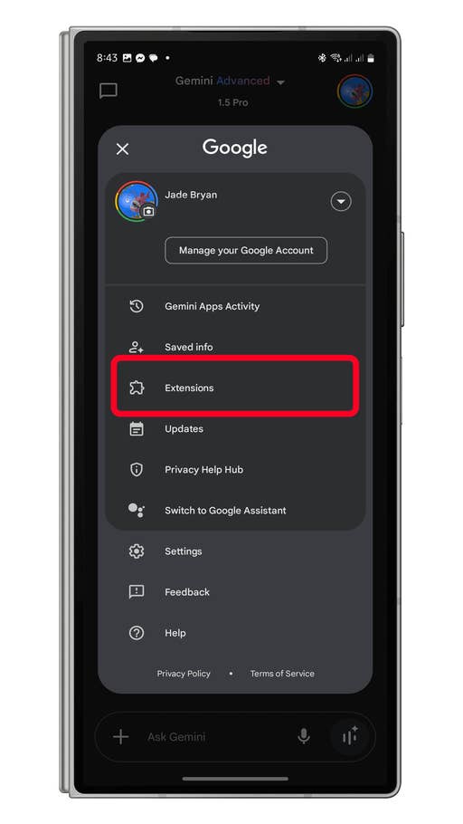 Gemini appu0027s settings page