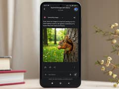 A squirrel holding a walnut, emerging from a tree in a vibrant forest setting.