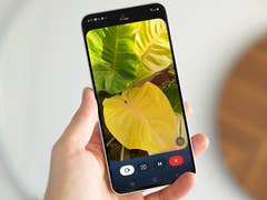 A person holding a smartphone displaying vibrant green and yellow leaves.
