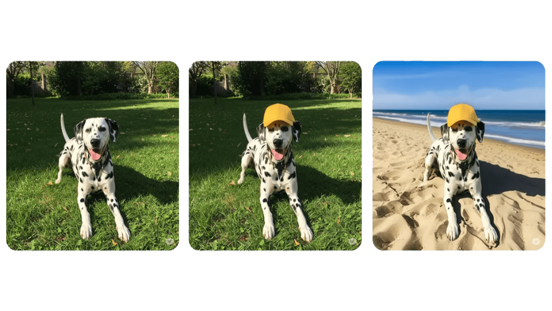 A Dalmatian dog wearing a yellow cap, sitting on grass and on a beach in two different images. A Dalmatian dog wearing a yellow cap, sitting on grass and on a beach in two different images.