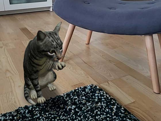 Google 3D Animals: How to use Google AR feature with your phone