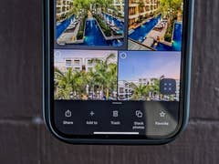 A smartphone screen displaying a Google Photos interface with four images of a pool area and palm trees.