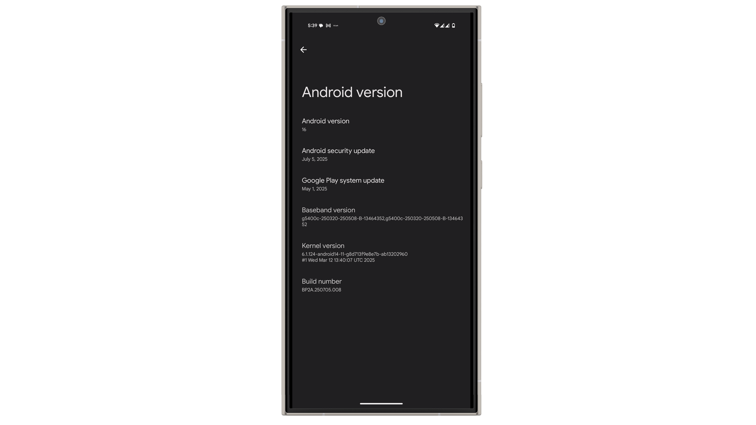 Goolge Play system update outdated version in Google Pixel 9 Pro XL due to a bug