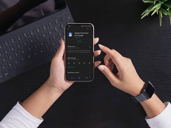 How to fix the Speech Services Waiting for network connection notification