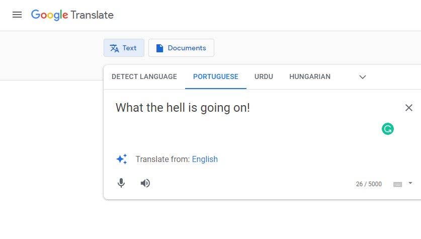 Google Translate Accent