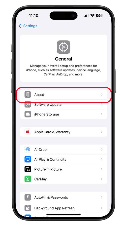 Apple iPhone 15 Pro Max showing the About section in the settings