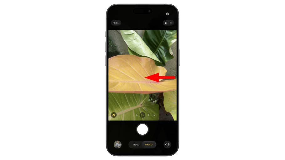 Close-up of a smartphone camera view showing leaves with an arrow pointing to a yellow leaf.