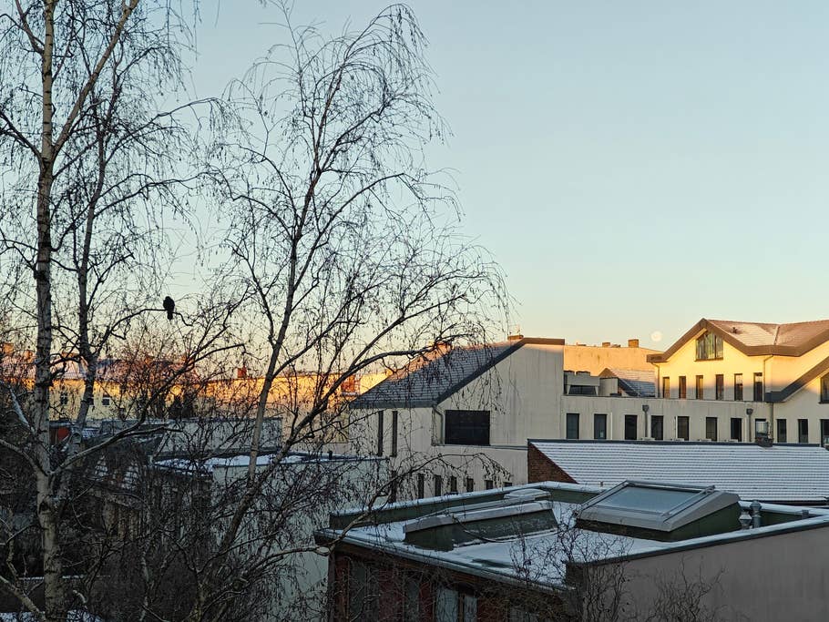 OnePlus 11 5G NextPit review pictures