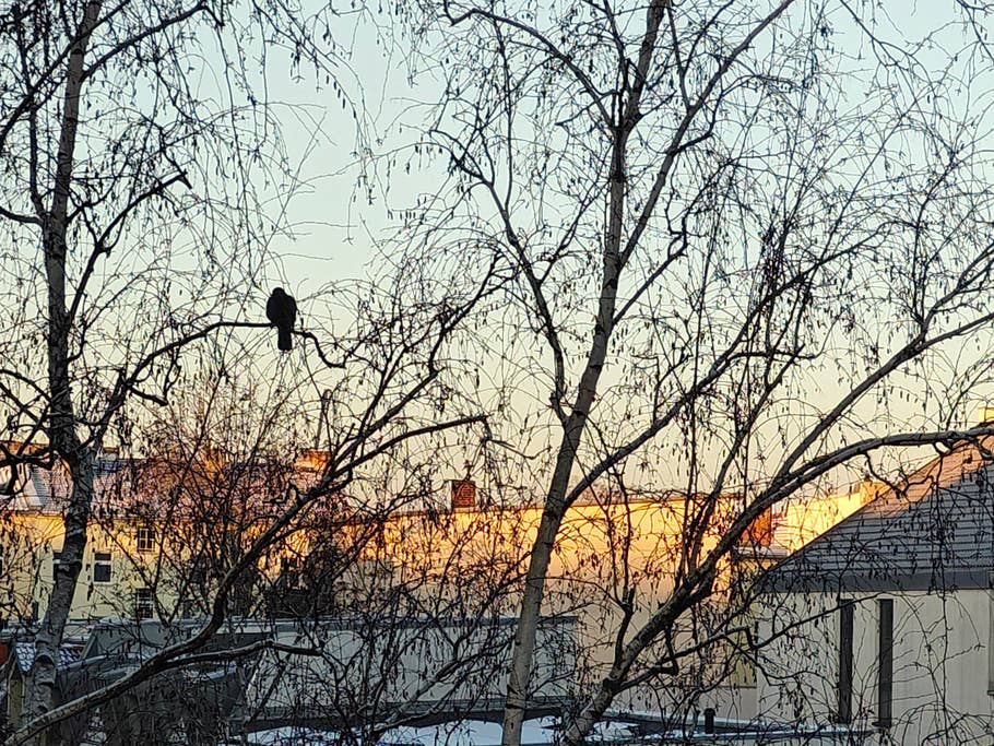 OnePlus 11 5G NextPit review pictures