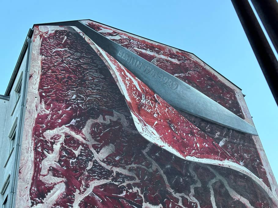 Main camera (2x sensor zoom)