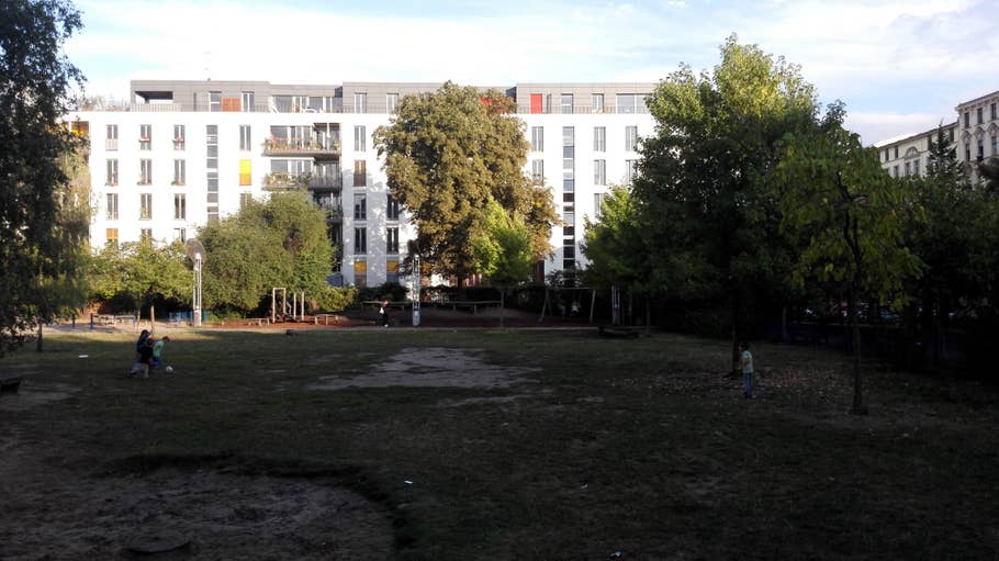 huawei, ascend, mate 7, camera, photo, image