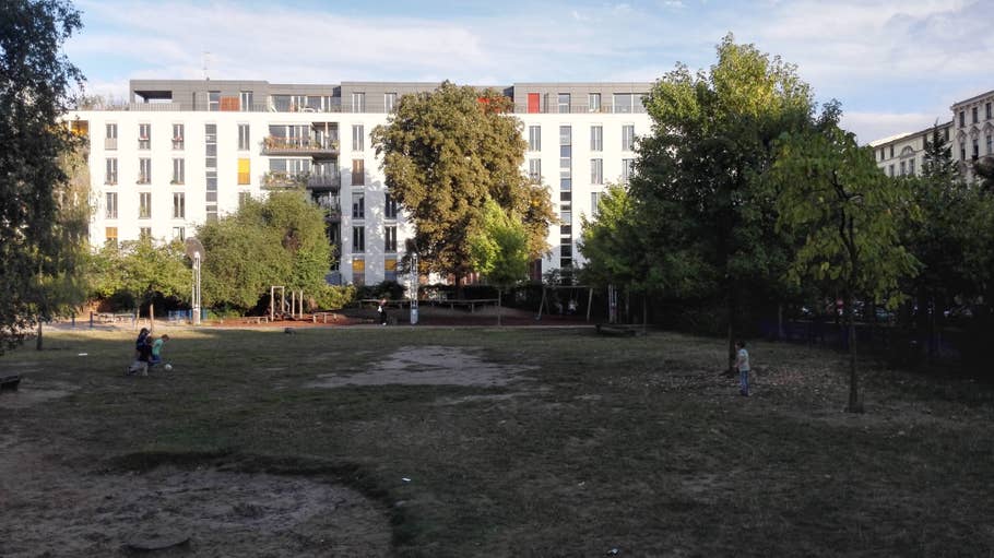 huawei, ascend, mate 7, camera, photo, image