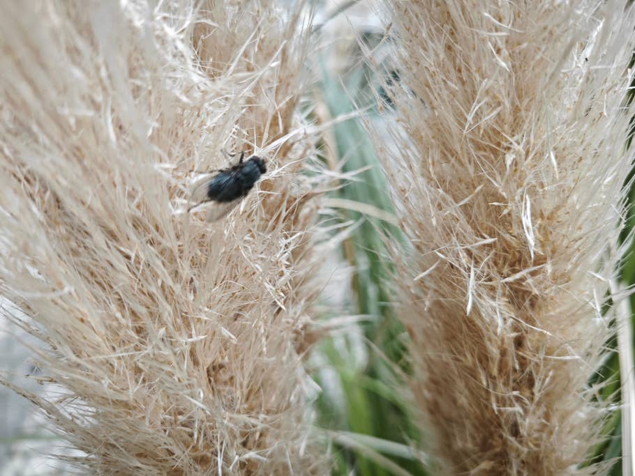 Xiaomi 13 sample photos