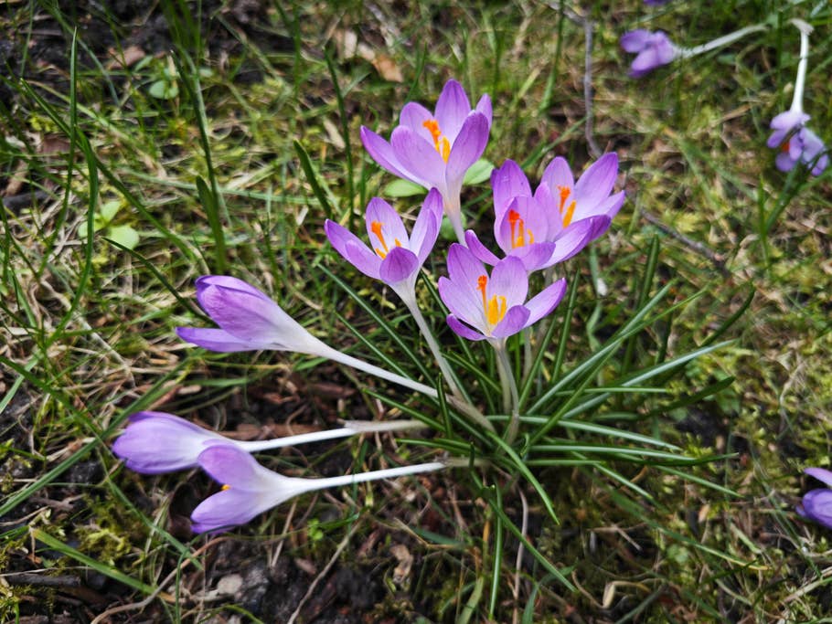 Xiaomi 13 sample photos