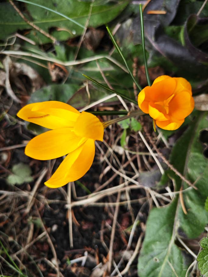 Xiaomi 13 sample photos