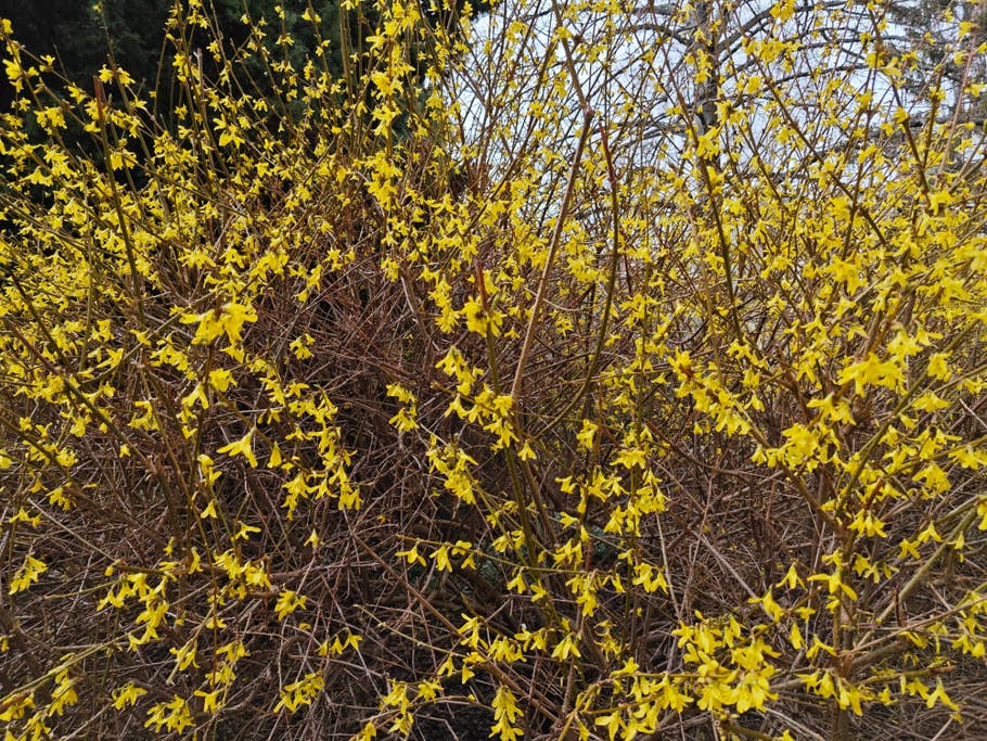 Xiaomi 13 sample photos