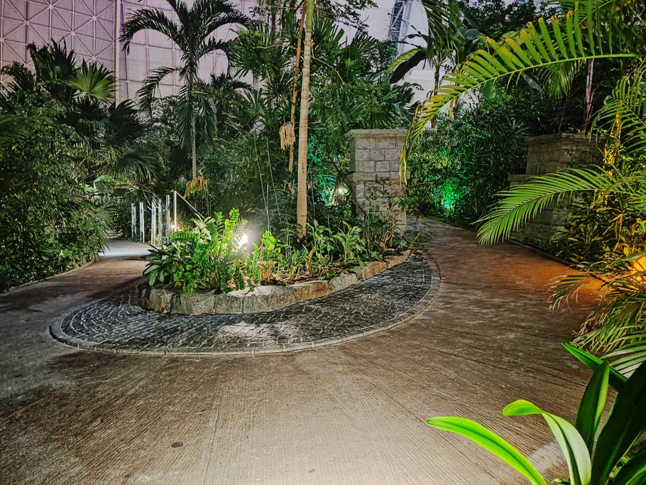 Motorola Edge+ (2023) review picture