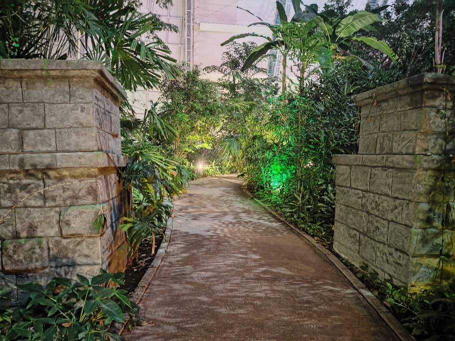 Motorola Edge 40 Pro Testfotos