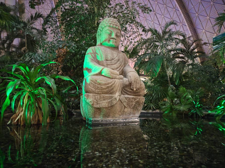 Motorola Edge 40 Pro Testfotos