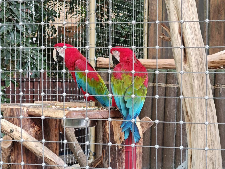 Motorola Edge+ (2023) review picture