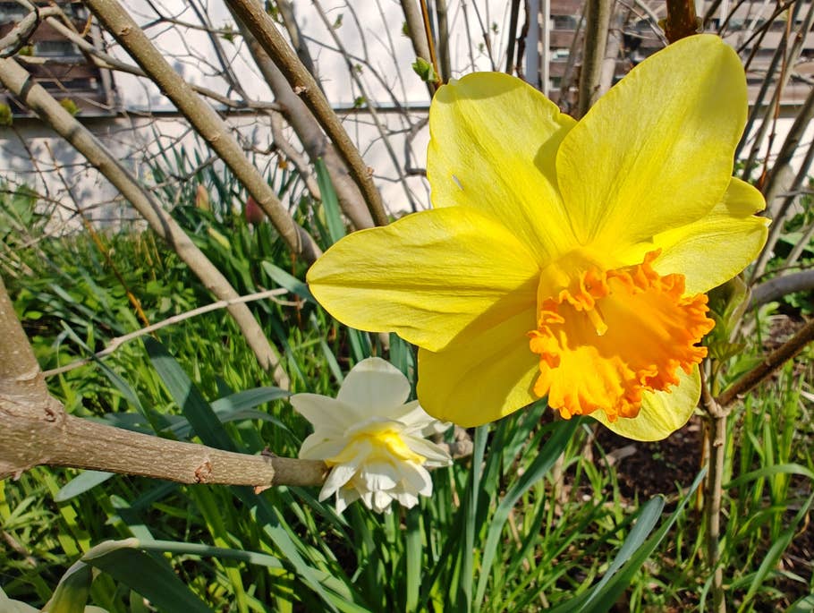 Motorola Edge+ (2023) review picture