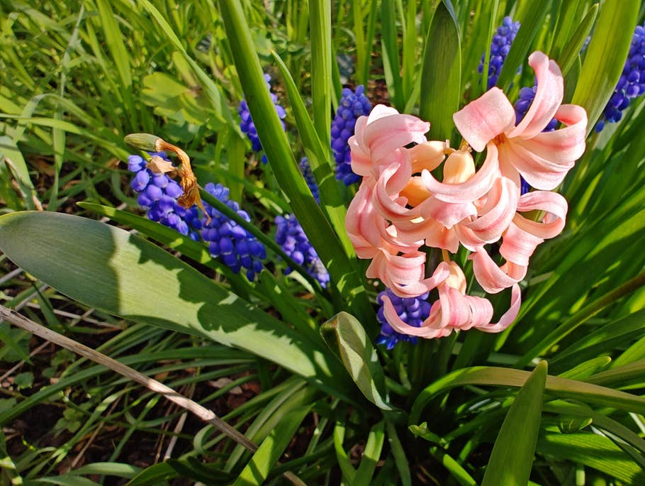 Motorola Edge+ (2023) review picture