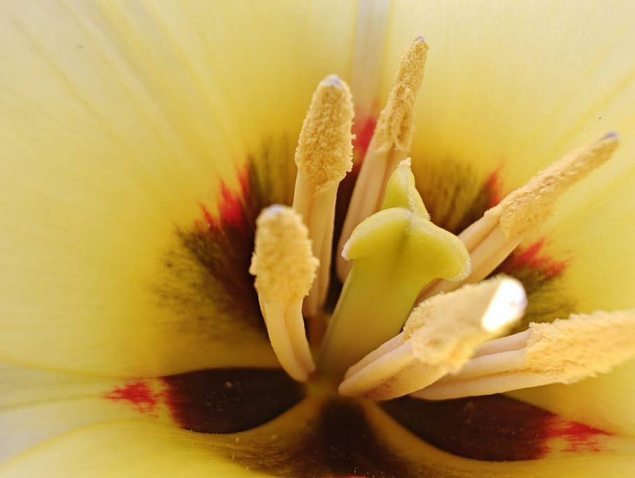 Motorola Edge+ (2023) review picture