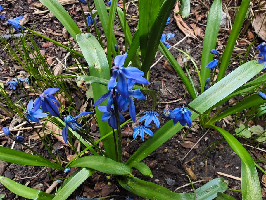 Vivo X90 Pro+ review pictures