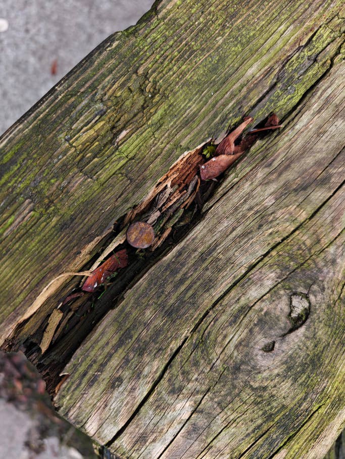 Vivo X90 Pro+ review pictures