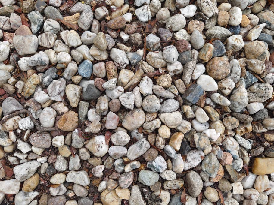 Vivo X90 Pro+ review pictures