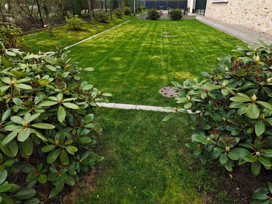 Vivo X90 Pro+ review pictures