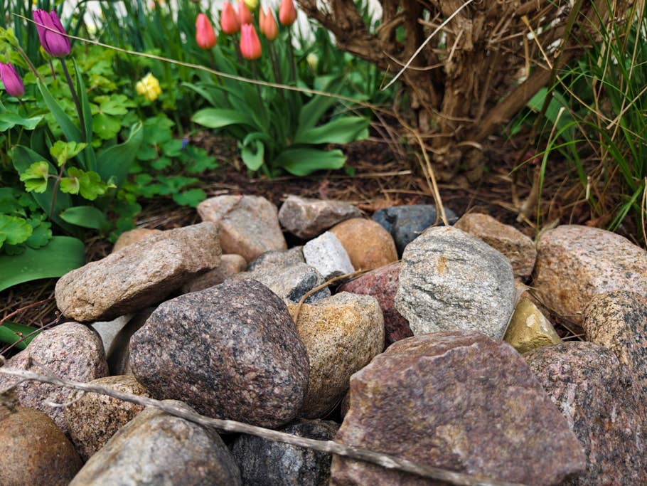 Vivo X90 Pro+ review pictures