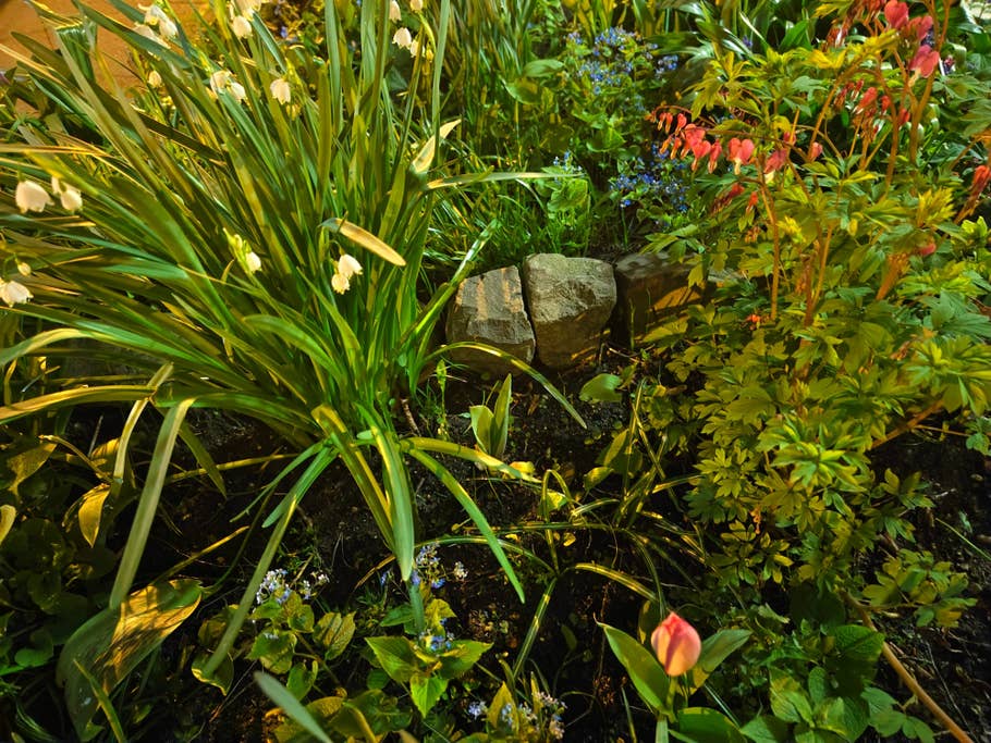 Vivo X90 Pro+ review pictures