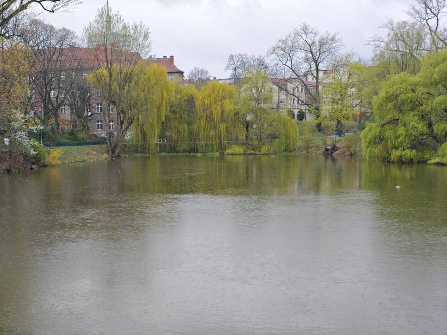 Vivo X90 Pro+ review pictures