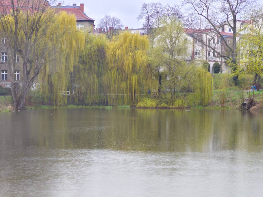 Vivo X90 Pro+ review pictures