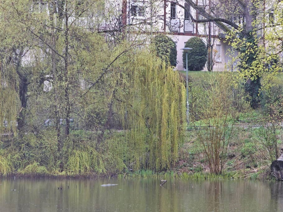 Vivo X90 Pro+ review pictures