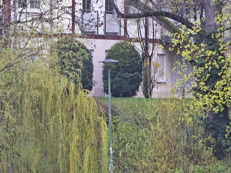 Vivo X90 Pro+ review pictures