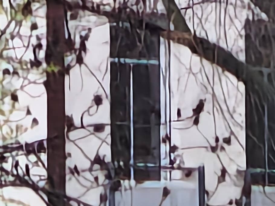 Vivo X90 Pro+ review pictures